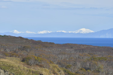 Similar image 22610880