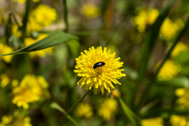 Similar image 22594918