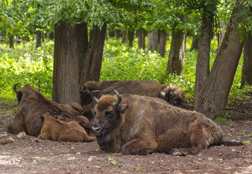 Similar image 22621612