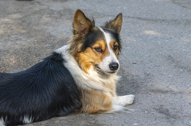 Similar image 22633241