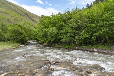 Similar image 22621614