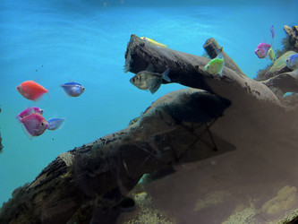 Similar image 22602005