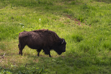 Similar image 22621650