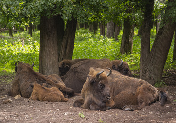 Similar image 22621663