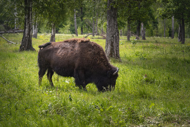 Similar image 22621666