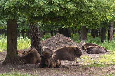 Similar image 22621670