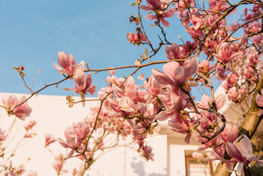 Similar image 22631549