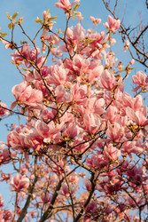 Similar image 22631550