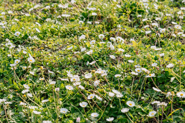 Similar image 22631566