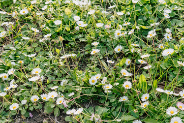 Similar image 22631595