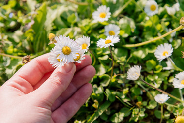 Similar image 22631609