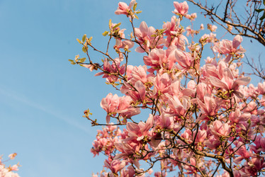 Similar image 22631624