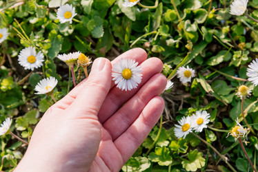 Similar image 22631655