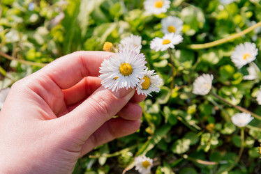 Similar image 22631670