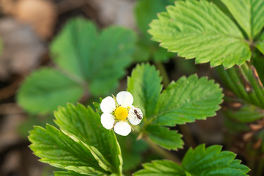 Similar image 22621184