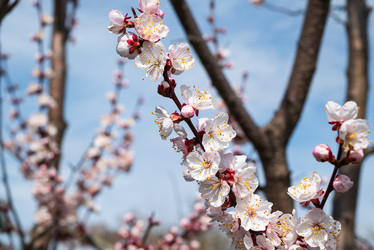 Similar image 22621185