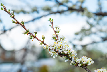 Similar image 22621186