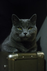 Similar image 22594894