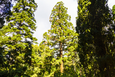 Similar image 22597129