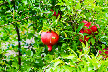 Similar image 22597130