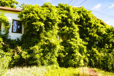 Similar image 22597158