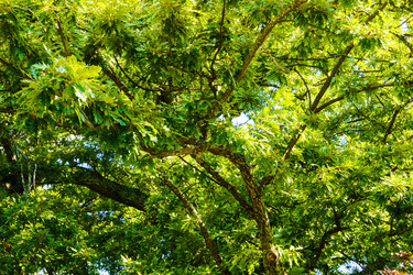 Similar image 22597159