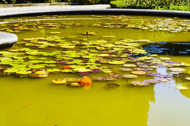 Similar image 22597160