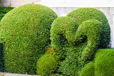 Similar image 22597161