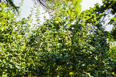 Similar image 22599393