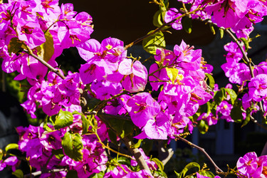 Similar image 22599394