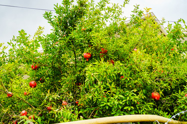 Similar image 22599396