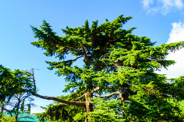 Similar image 22599397