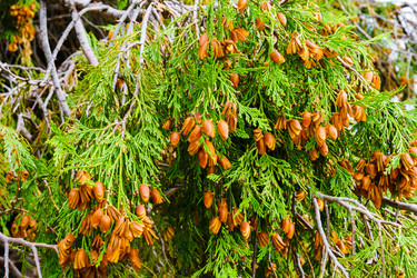 Similar image 22599398