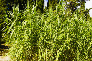 Similar image 22599399