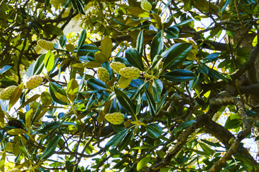 Similar image 22599523