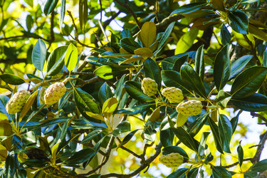 Similar image 22599524