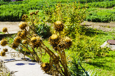 Similar image 22599525