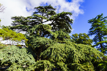 Similar image 22599526