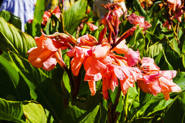 Similar image 22599538