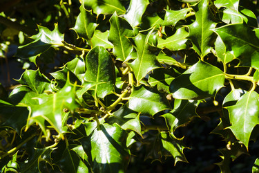 Similar image 22599539