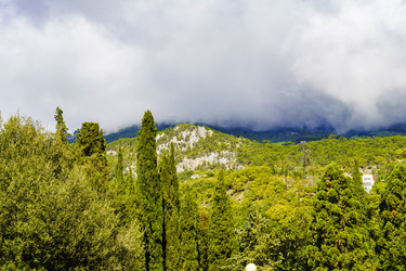 Similar image 22599540