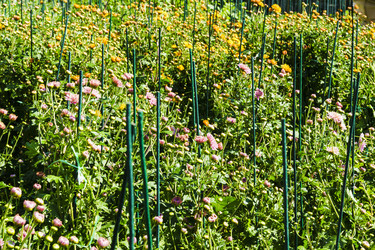 Similar image 22599541