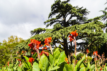 Similar image 22599542