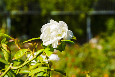 Similar image 22599543