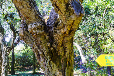 Similar image 22601854