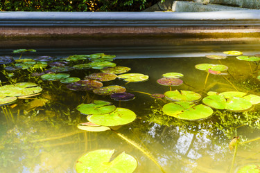 Similar image 22601855