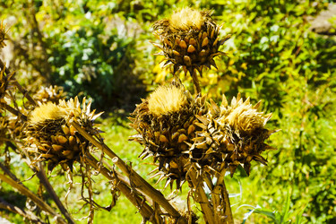 Similar image 22601865