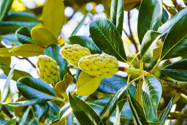 Similar image 22601866