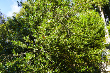 Similar image 22601867