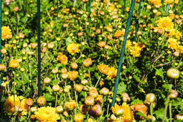 Similar image 22601868